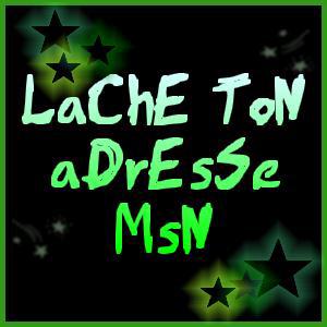 vasi lach ton msn