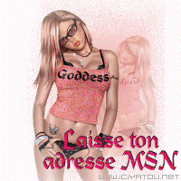 msn